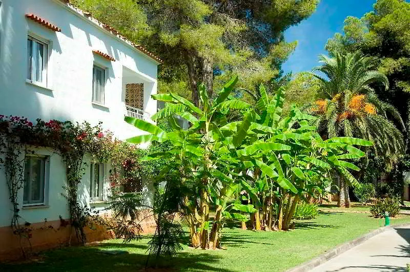 Aparthotel Club Cala Pada Playa S'Argamassa